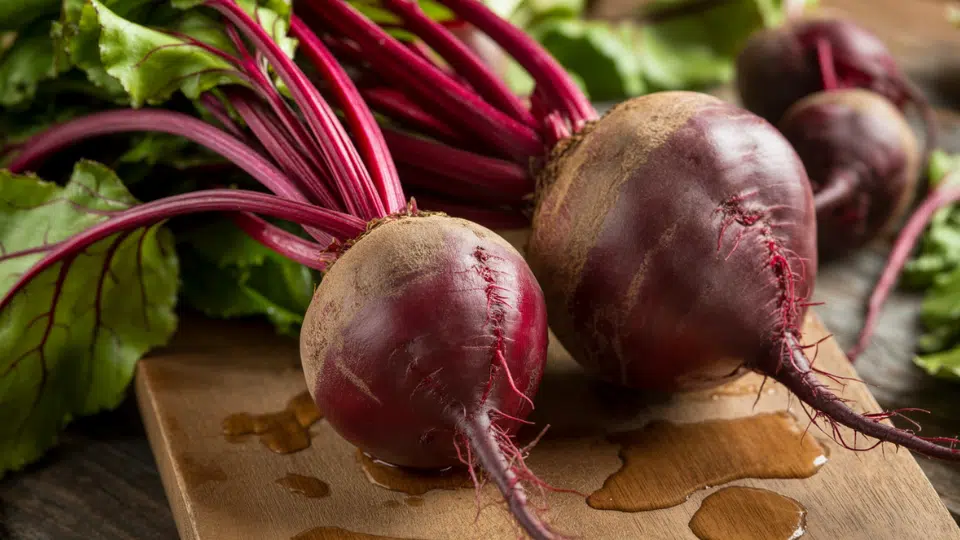 beetroot
