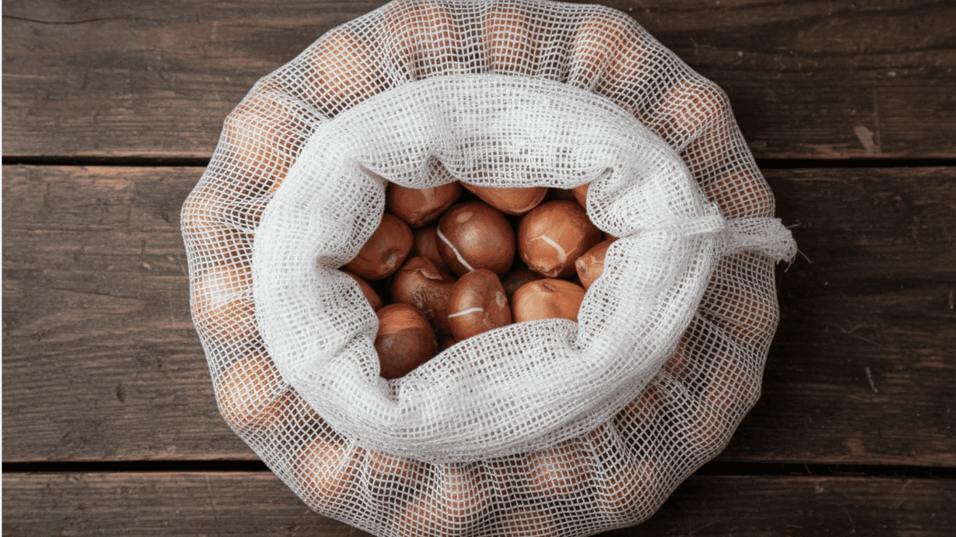 how long do tulip bulbs last in storage