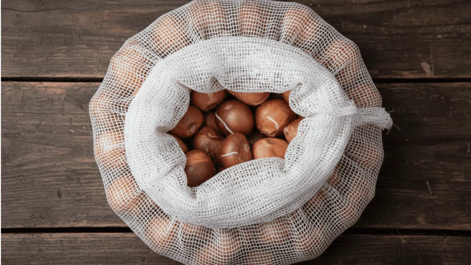 how long do tulip bulbs last in storage