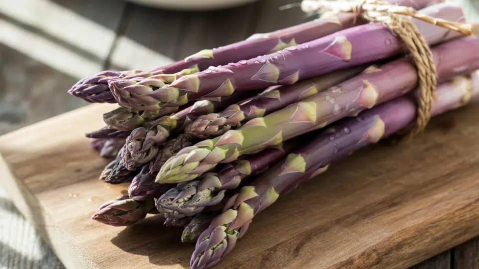 purple asparagus