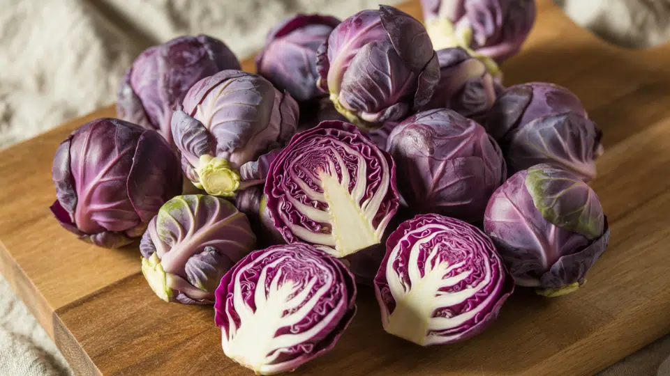 purple brussels sprouts