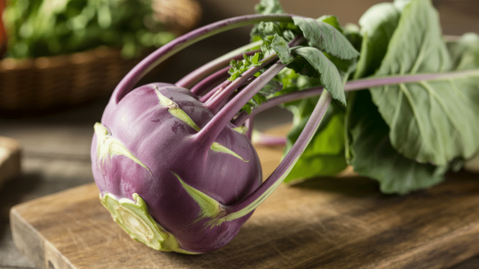 purple kohlrabi bulb