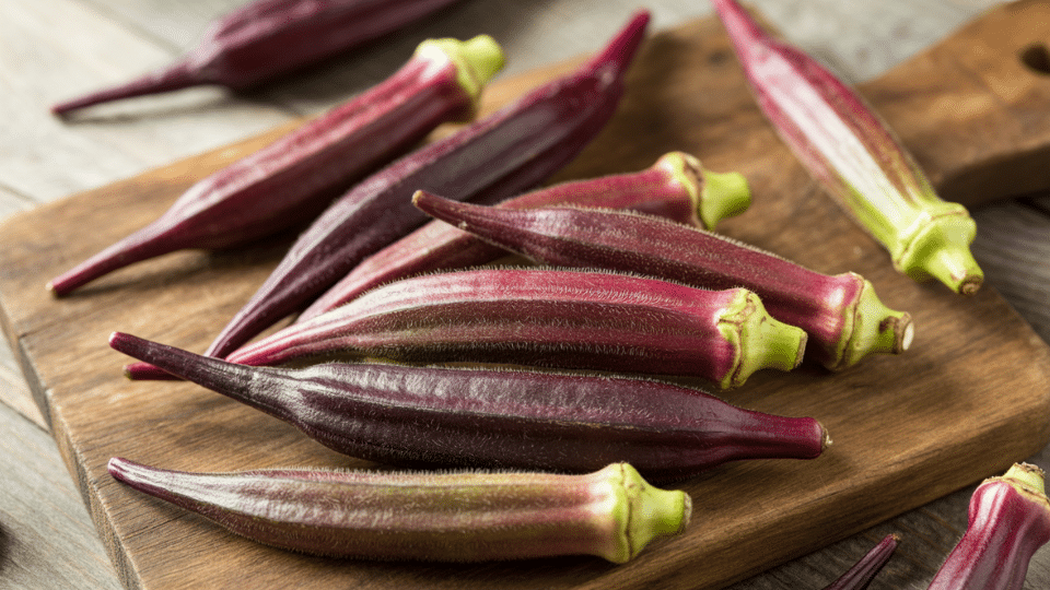 purple okra