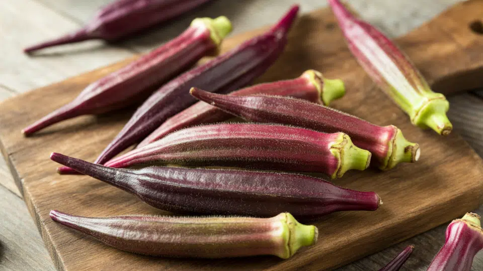 purple okra