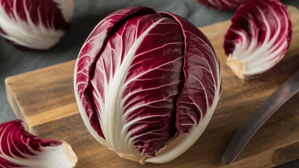purple radicchio chioggia