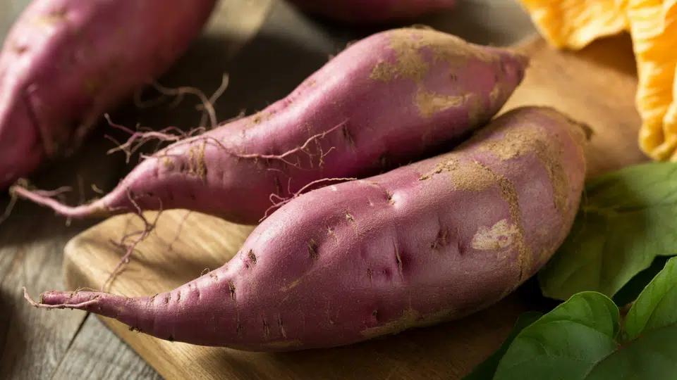 purple sweet potato