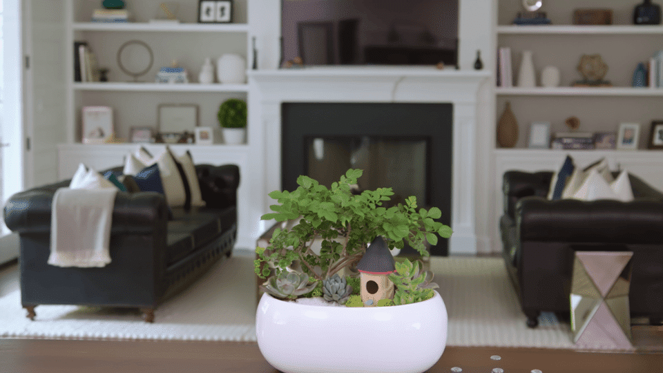 Add Fairy Houses and Pathways