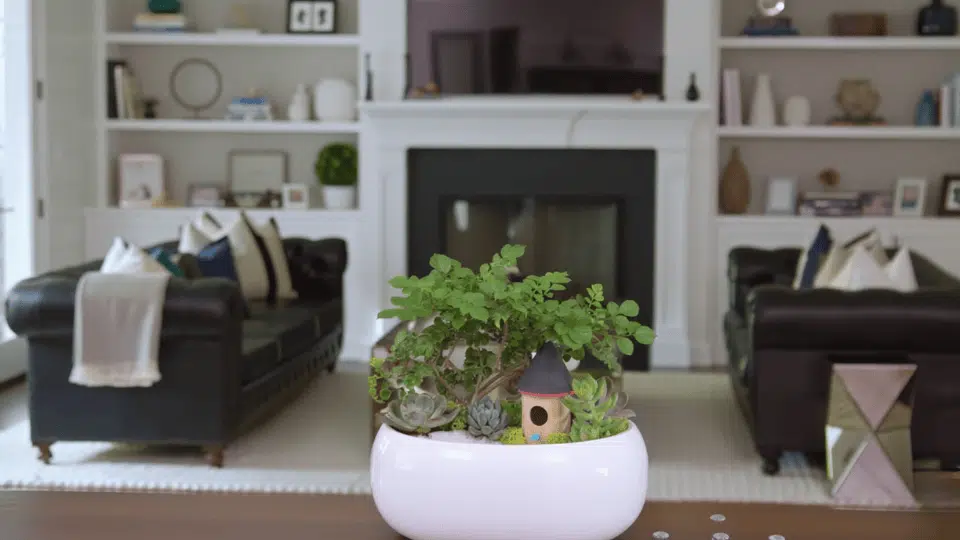 Add Fairy Houses and Pathways