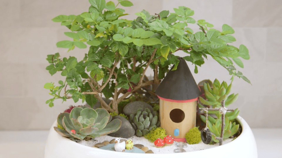 Add Finishing Touches