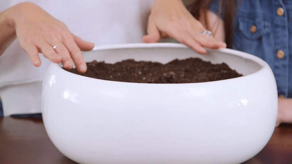 Choose the Container and Prepare the Base