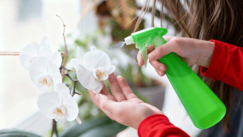 Key Factors to Consider