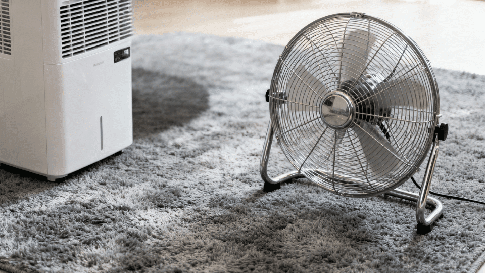 Set Up Fans Dehumidifiers