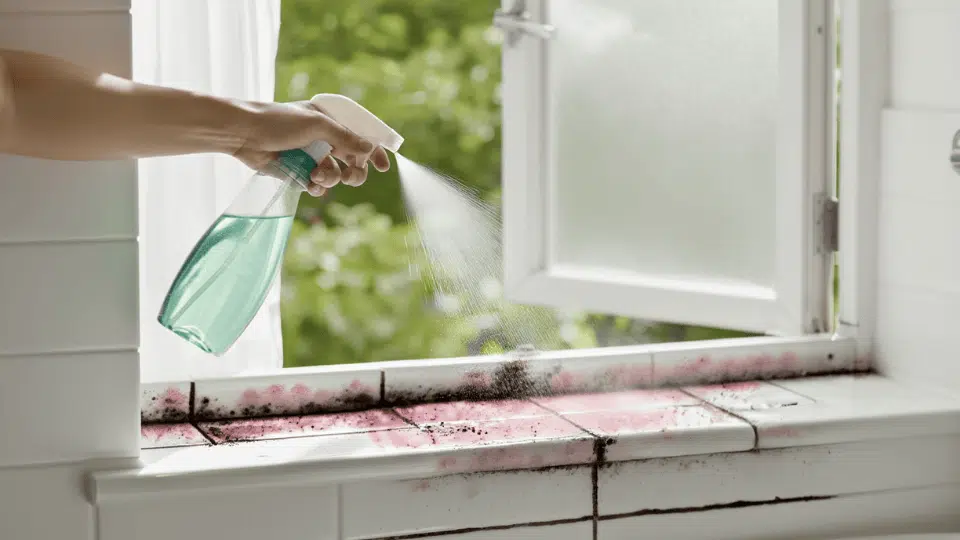 Spray the Affected Area