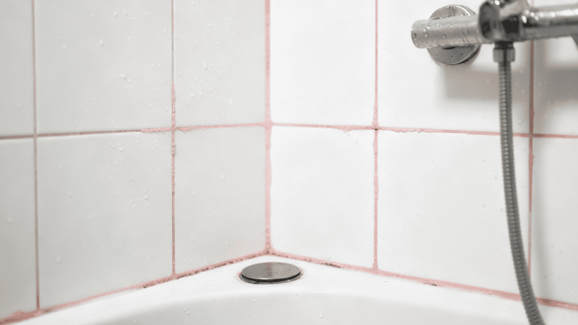 is pink mold dangerous and how to get rid of it featured img