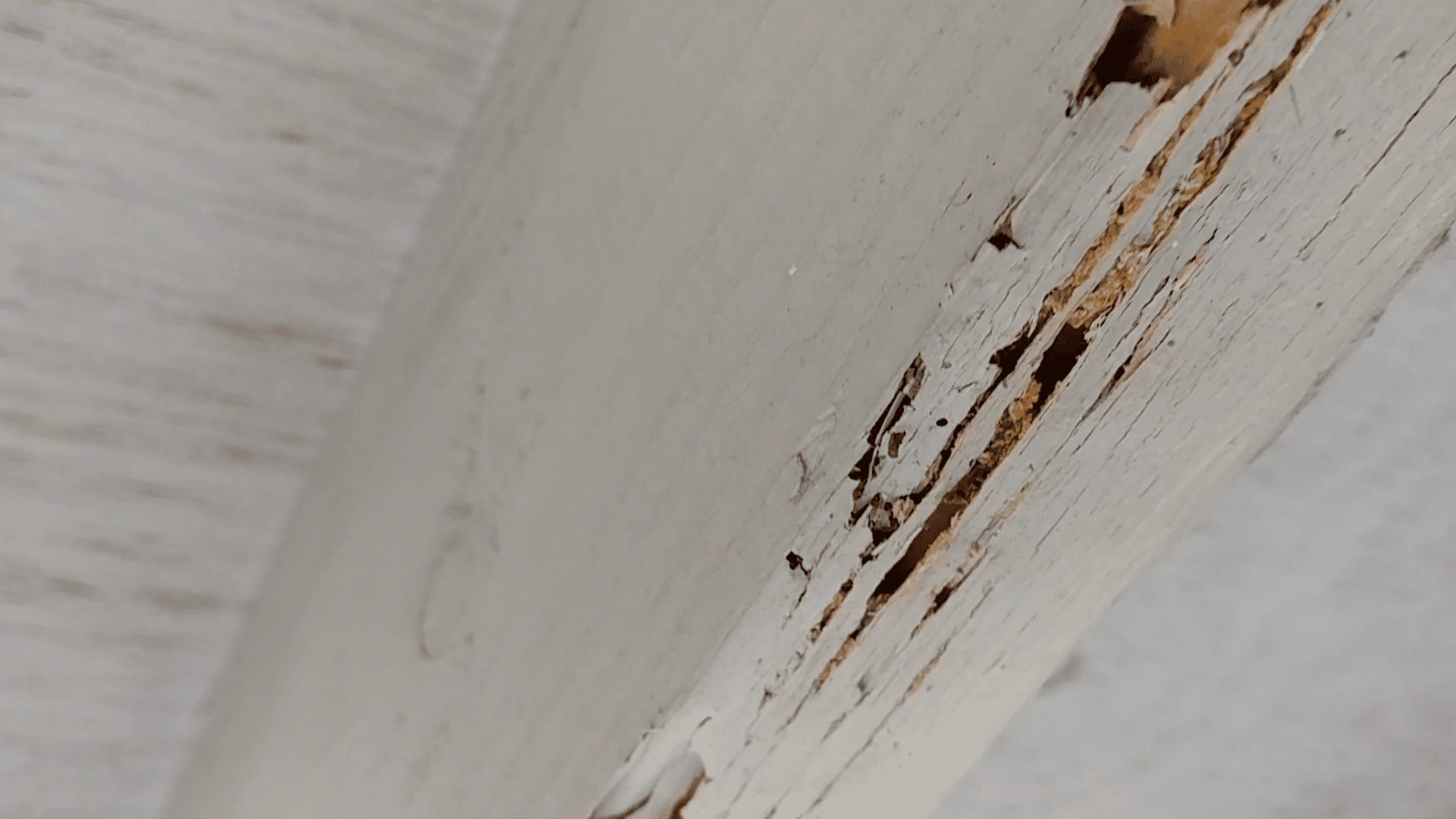 step 1 inspect and confirm-the-damage