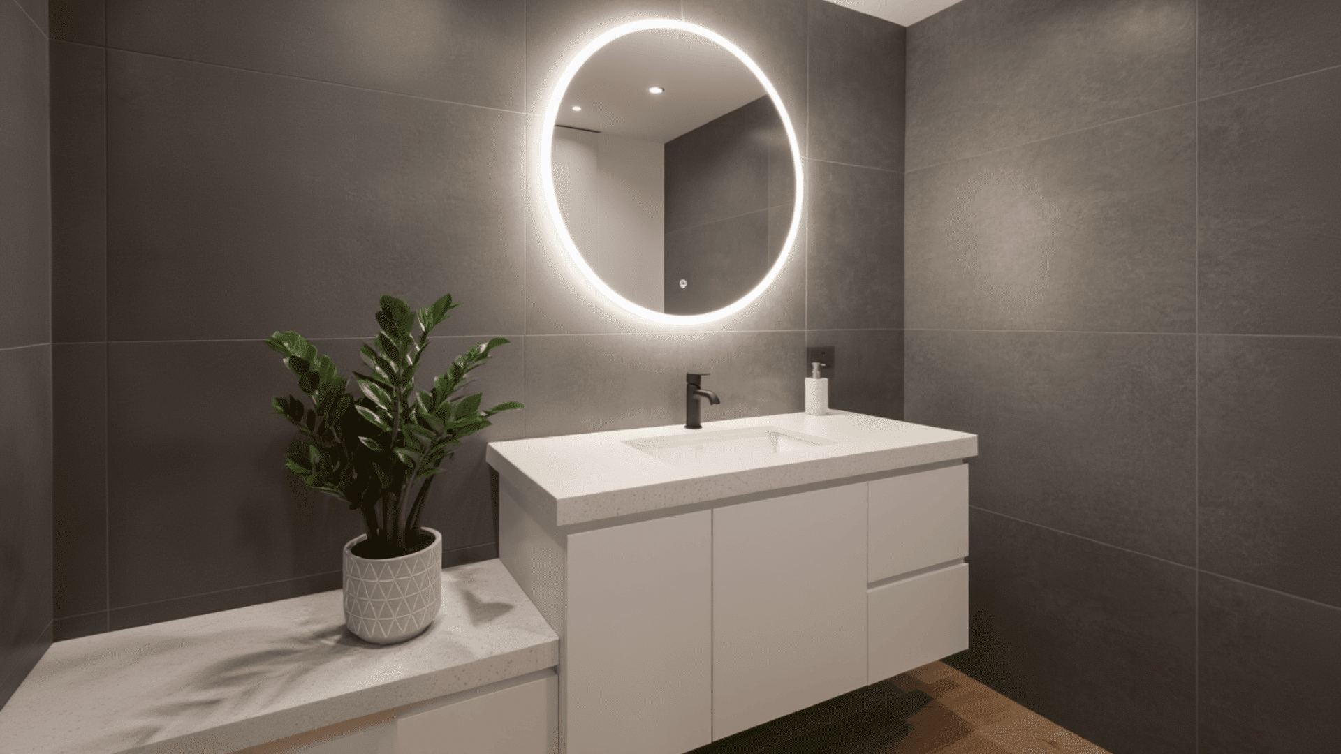 zz plant zamioculcas zamiifolia